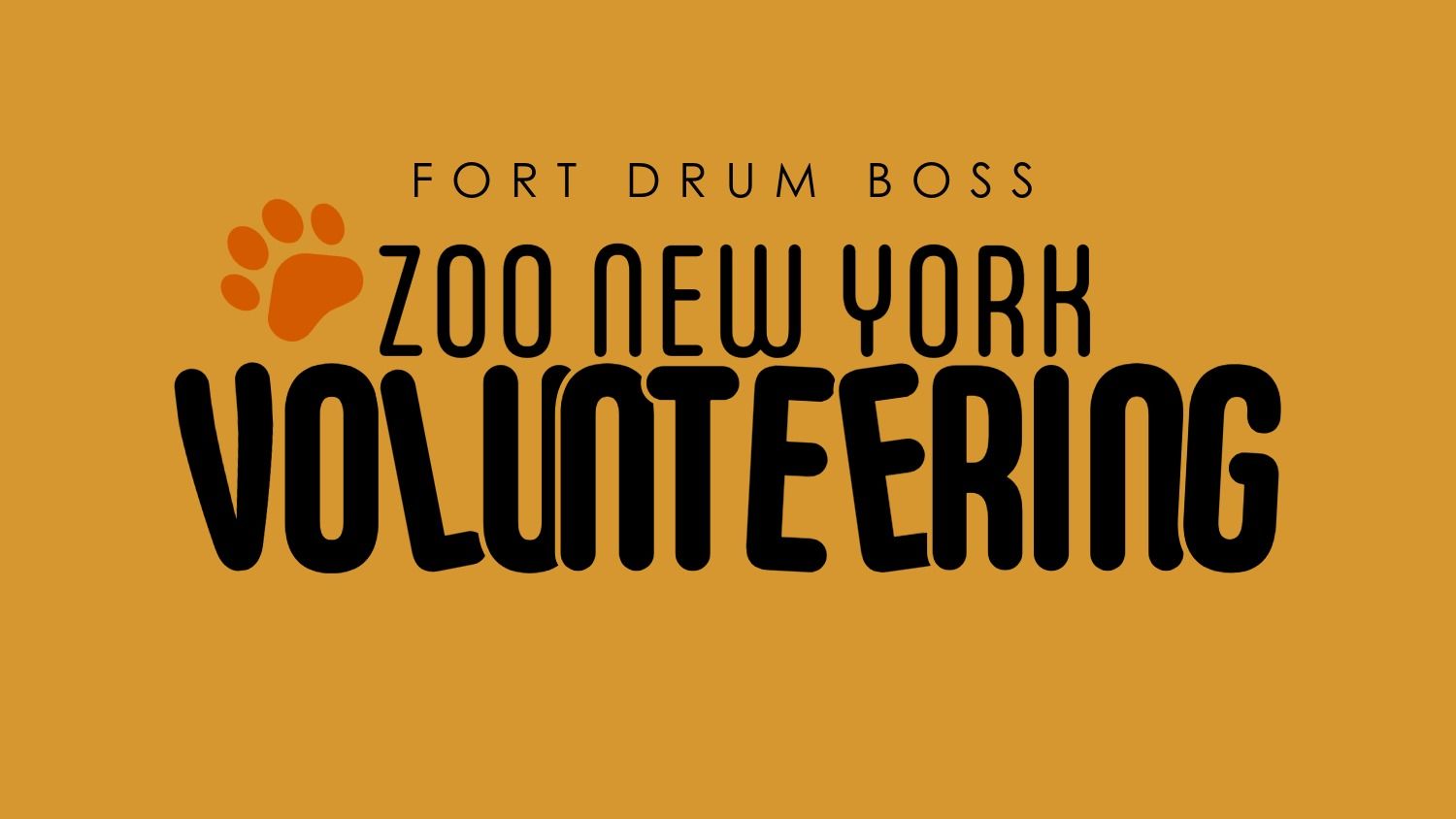 Zoo New York Volunteer Trip Copy