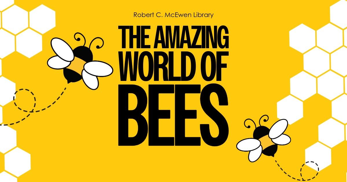 The Amazing World of Bees